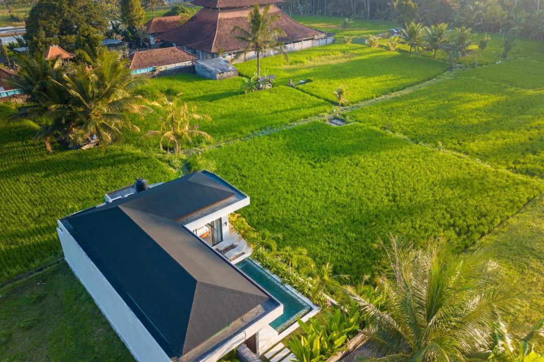 Photo of Others in Pejeng