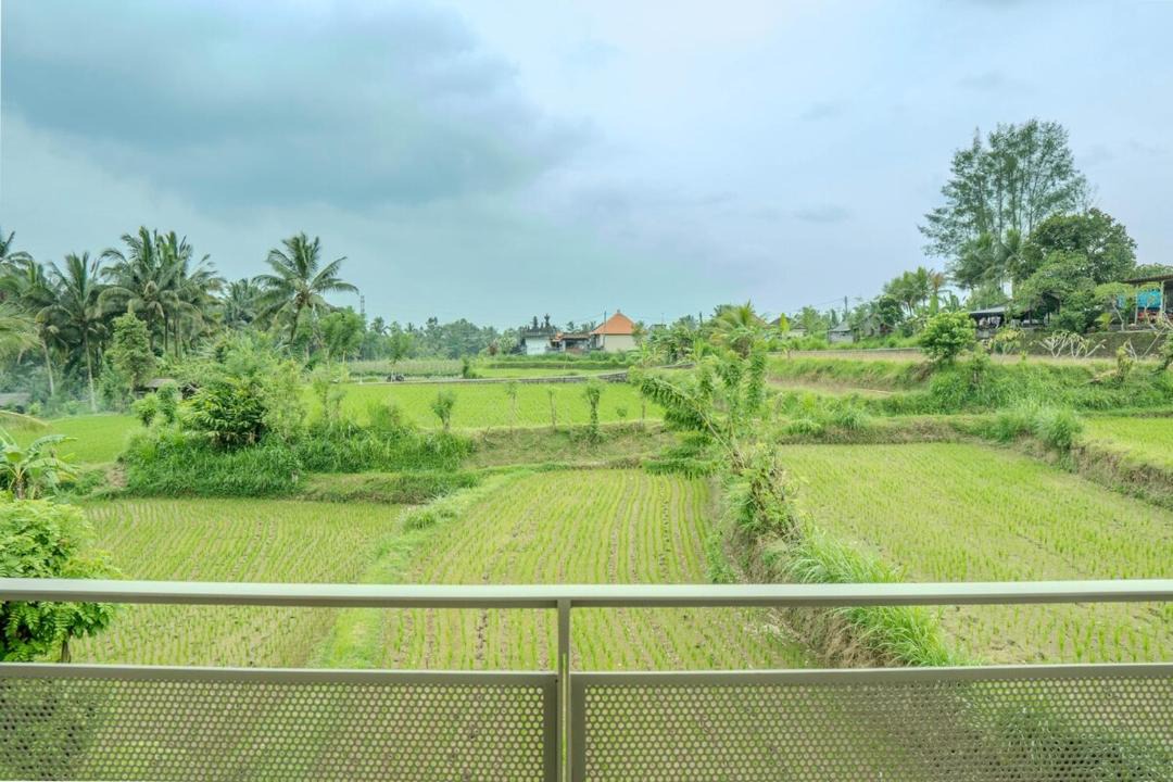 Photo of Others in Carangsari