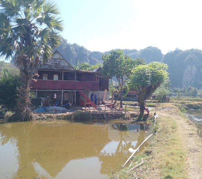 Photo of Others in Bantimurung