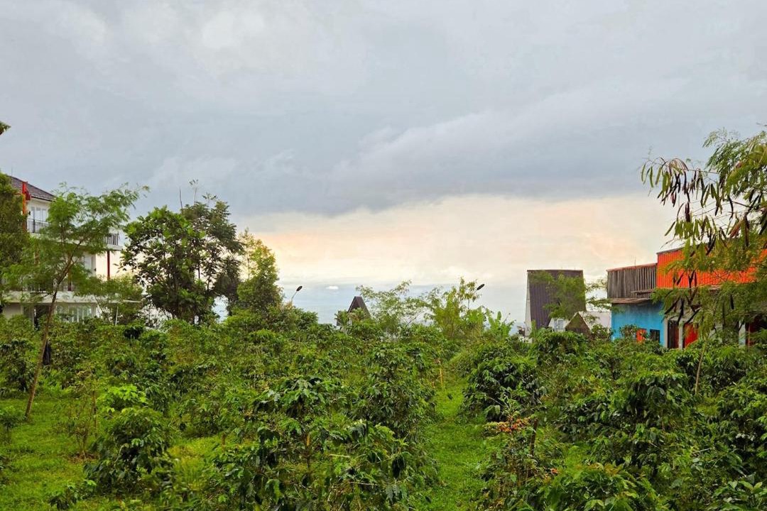 Photo of Others in Cidahu
