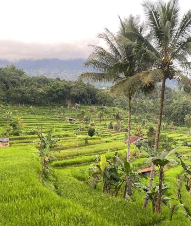 Photo of Others in Cidahu