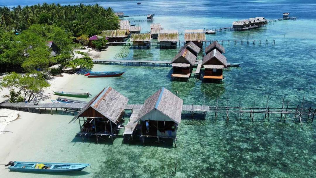Photo of Others in Raja Ampat