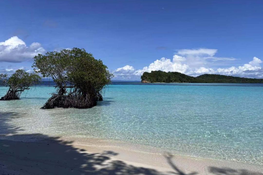 Photo of Others in Raja Ampat