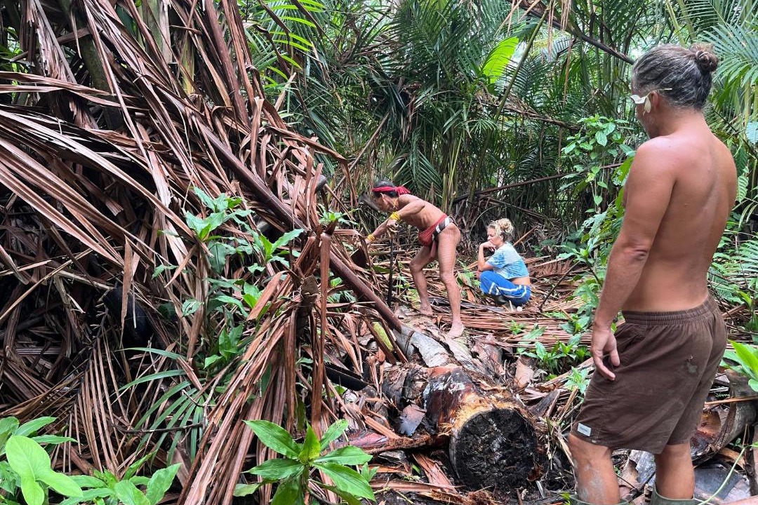 Photo of Others in Mentawai Islands