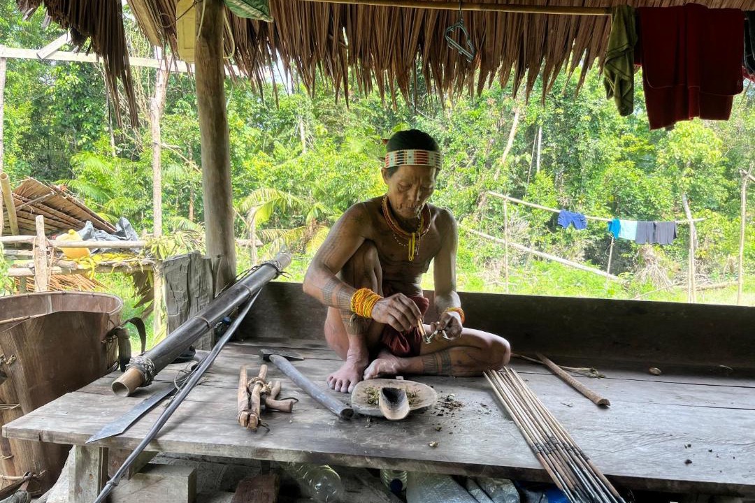 Photo of Others in Mentawai Islands