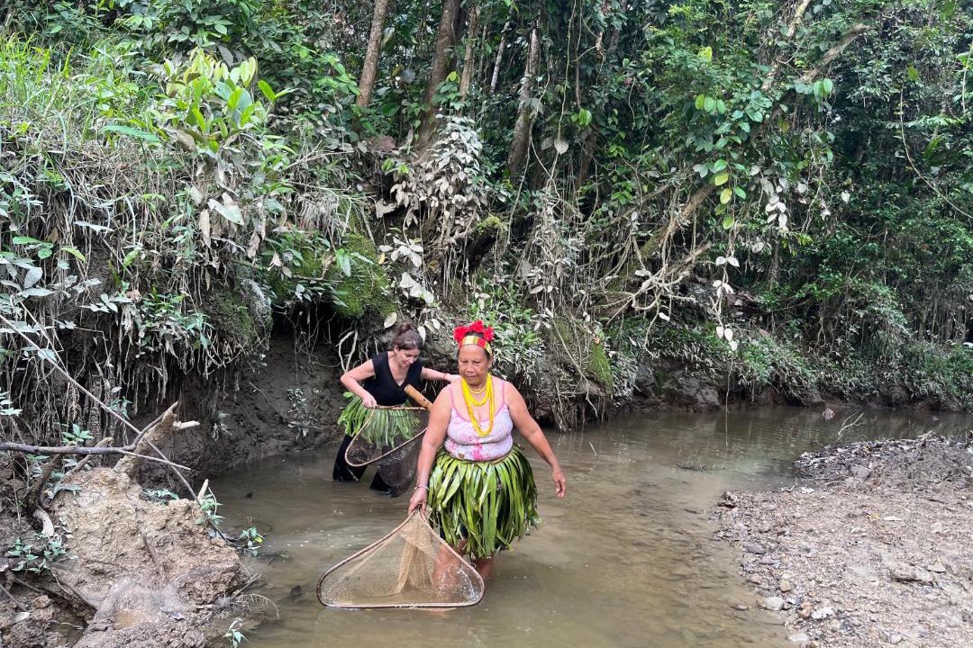 Photo of Others in Mentawai Islands