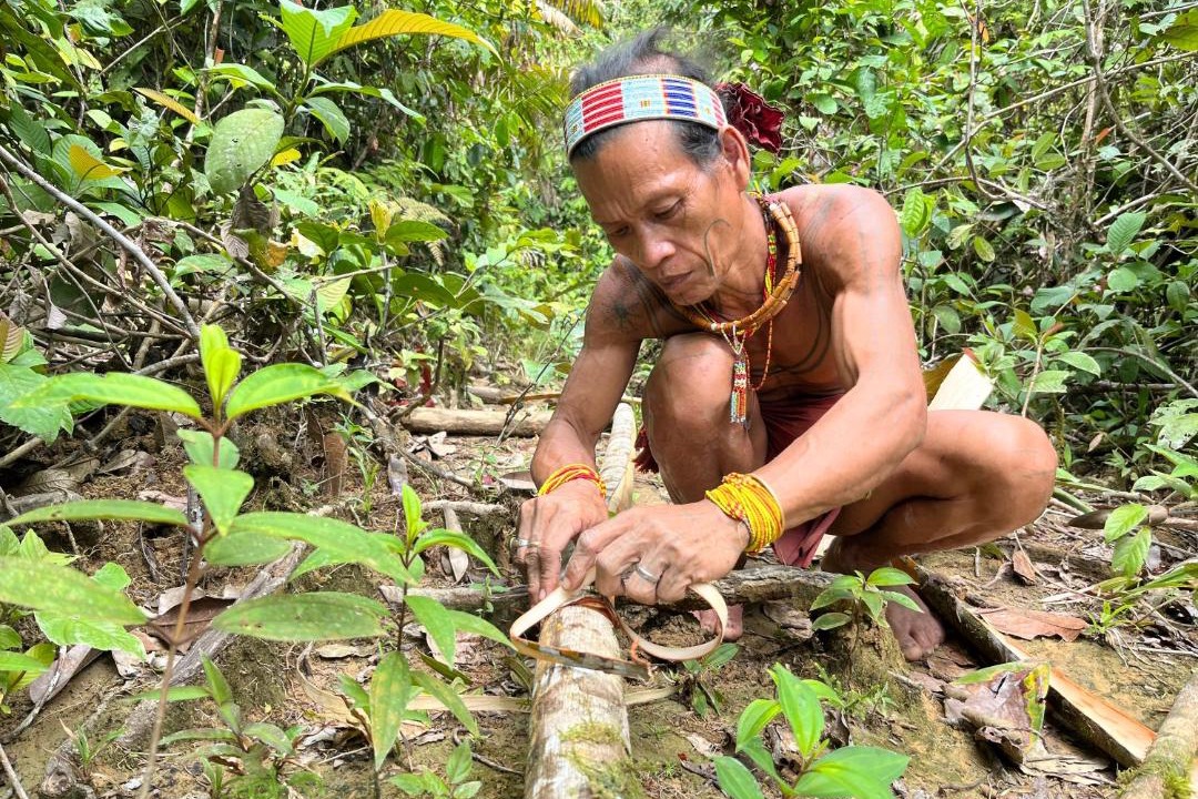 Photo of Others in Mentawai Islands