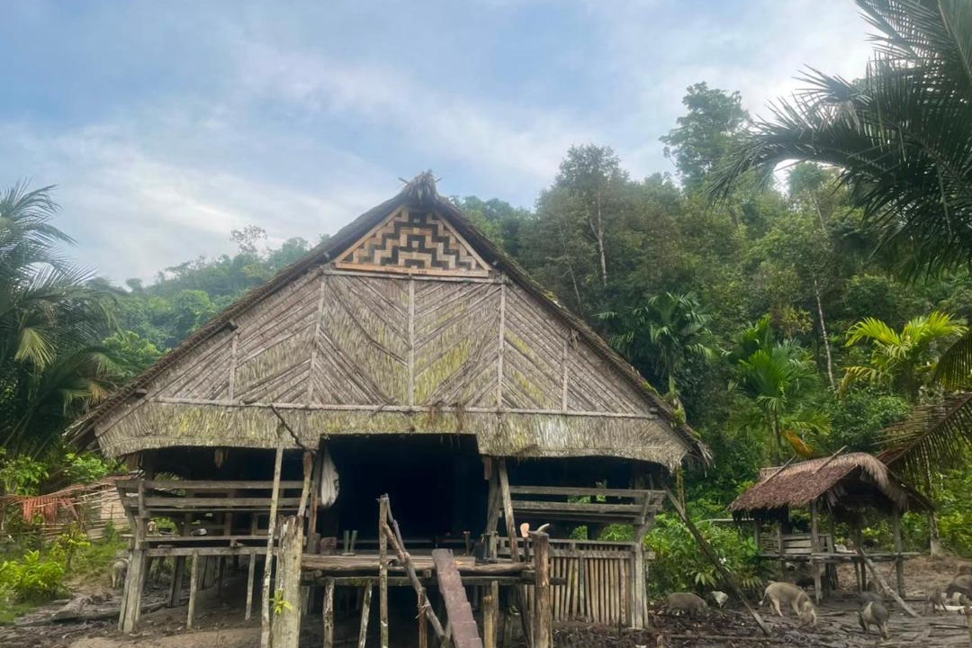 Photo of Others in Mentawai Islands