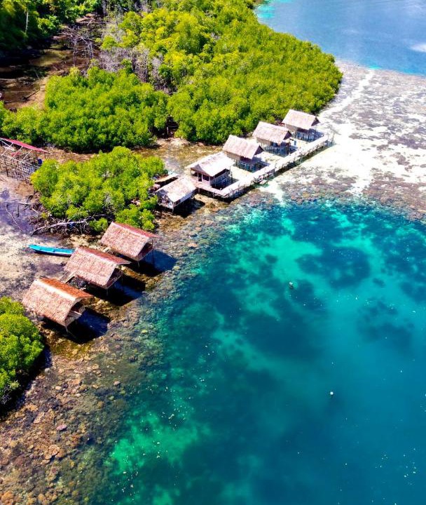 Photo of Others in Raja Ampat