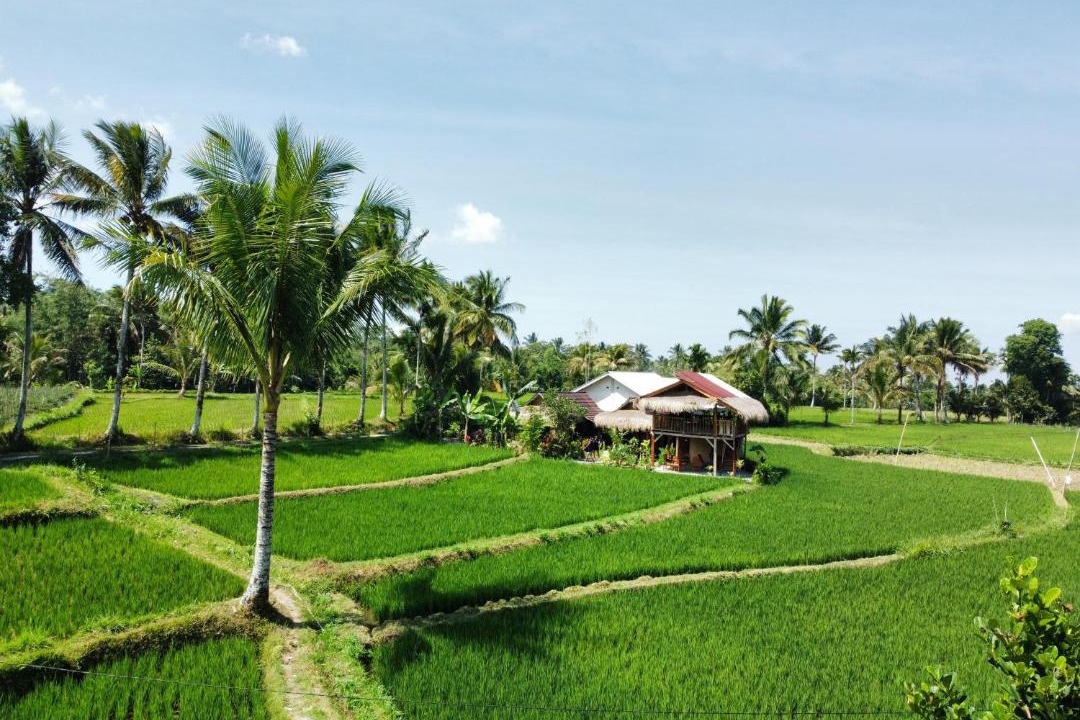 Photo of Others in Lombok
