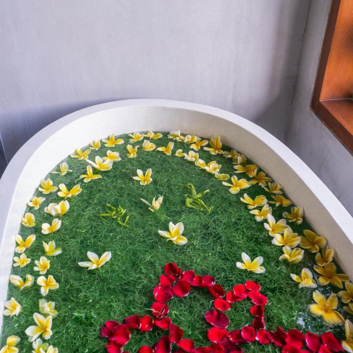 Photo of Others in Taro