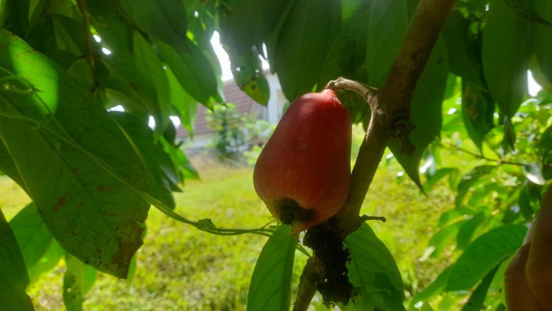 Photo of Outdoor in Lombok