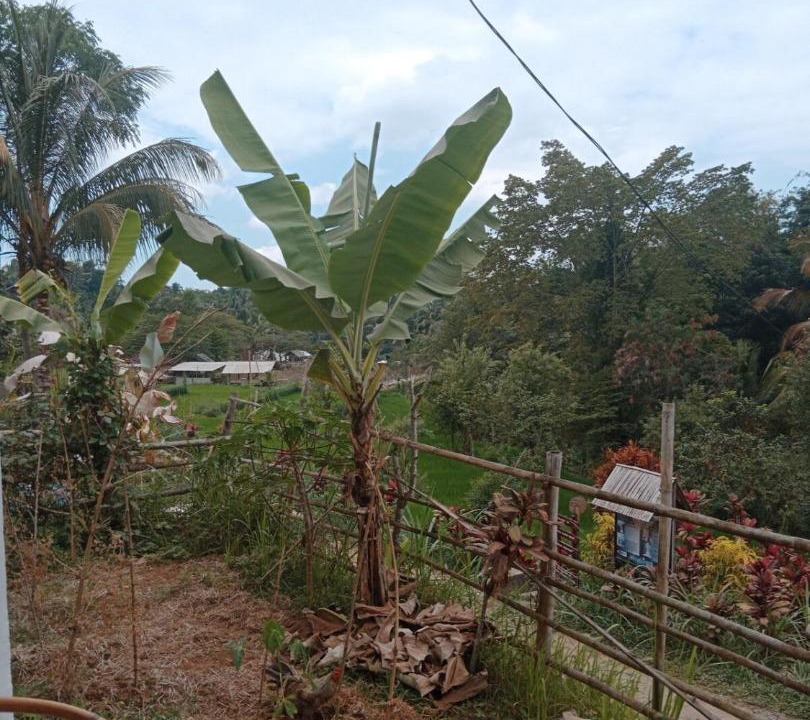 Photo of Others in Kecamatan Labuhan Haji
