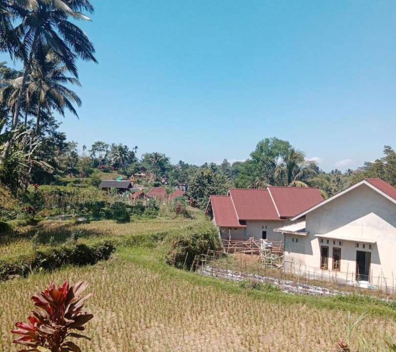 Photo of Others in Kecamatan Labuhan Haji