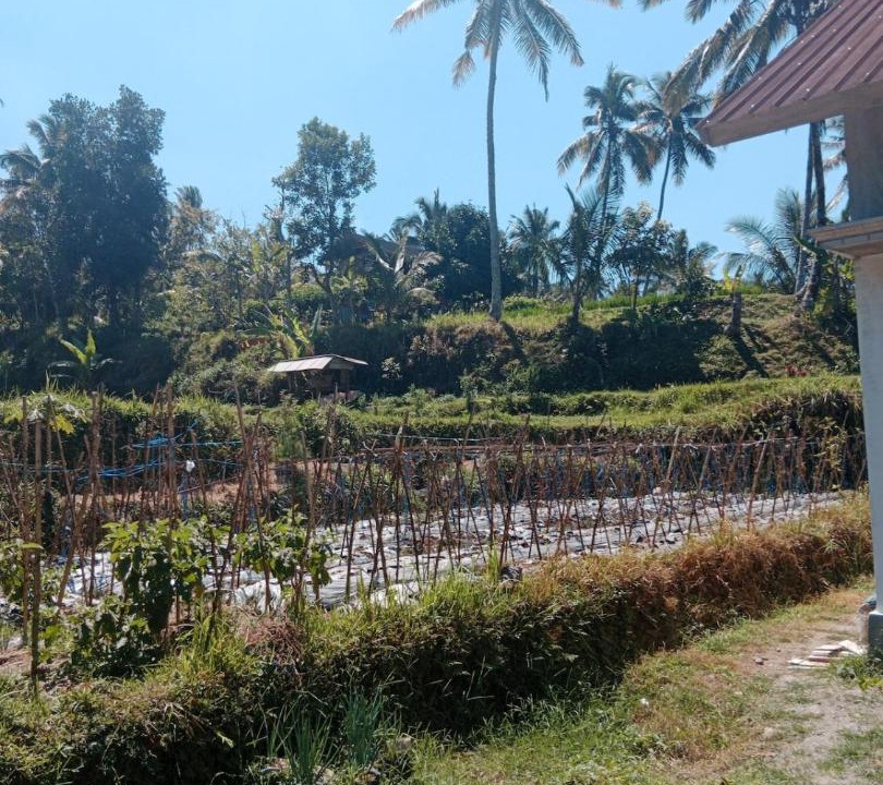 Photo of Others in Kecamatan Labuhan Haji