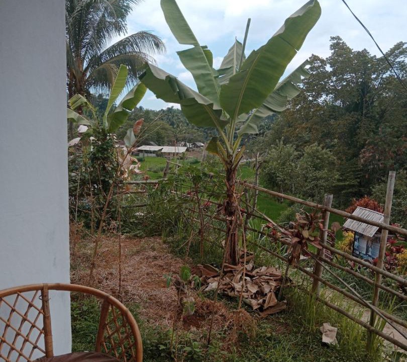 Photo of Others in Kecamatan Labuhan Haji