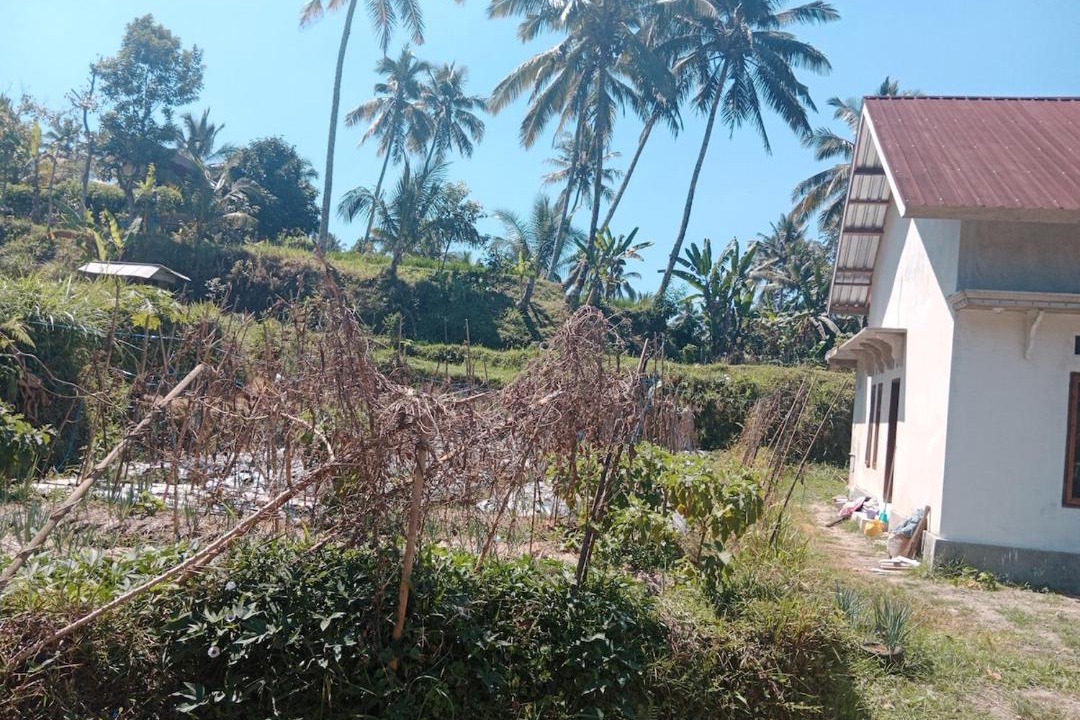 Photo of Others in Kecamatan Labuhan Haji