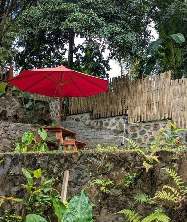 Photo of Others in Tetebatu