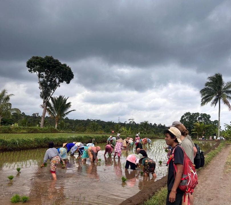 Photo of Others in Tetebatu