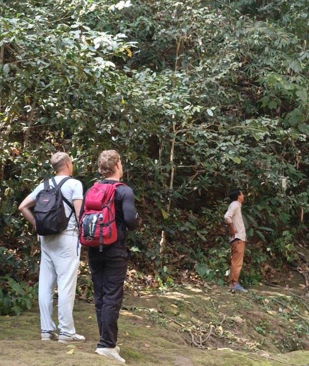 Photo of Others in Lombok