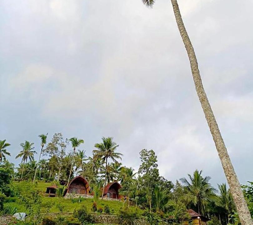 Photo of Others in Lombok