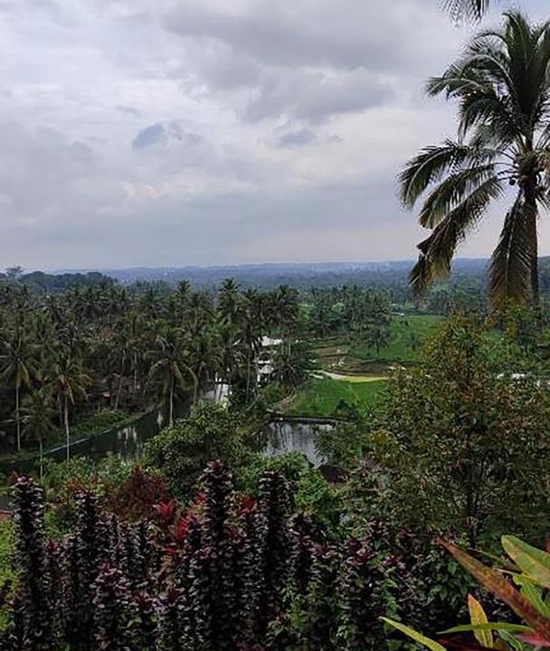 Photo of Others in Lombok