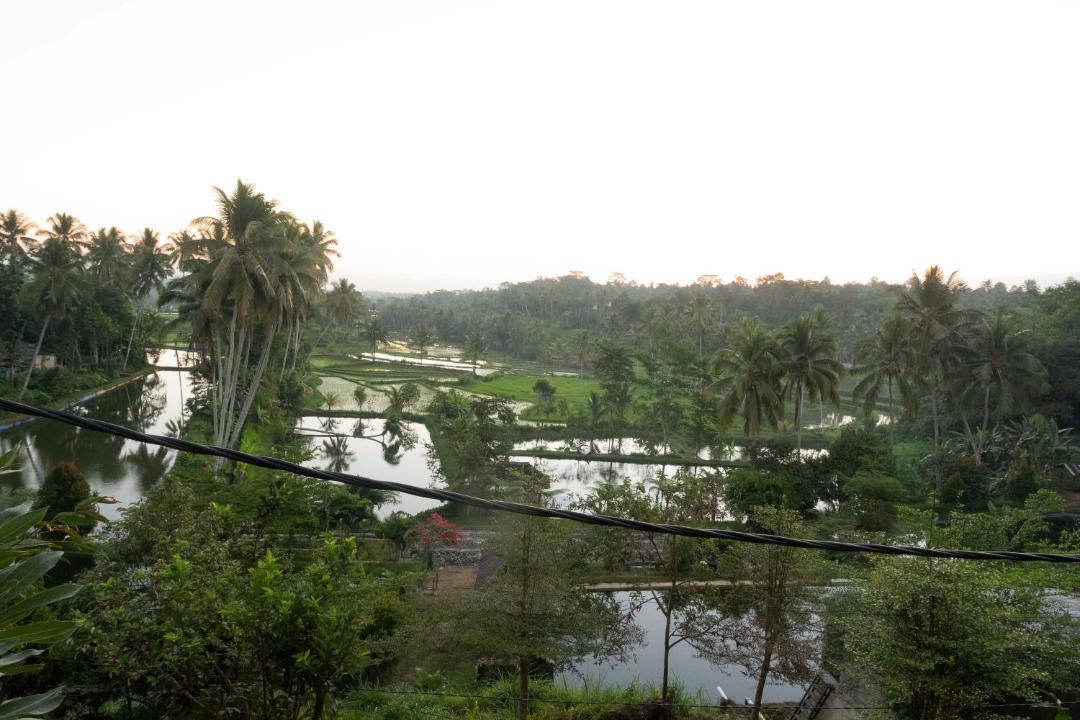 Photo of Others in Lombok