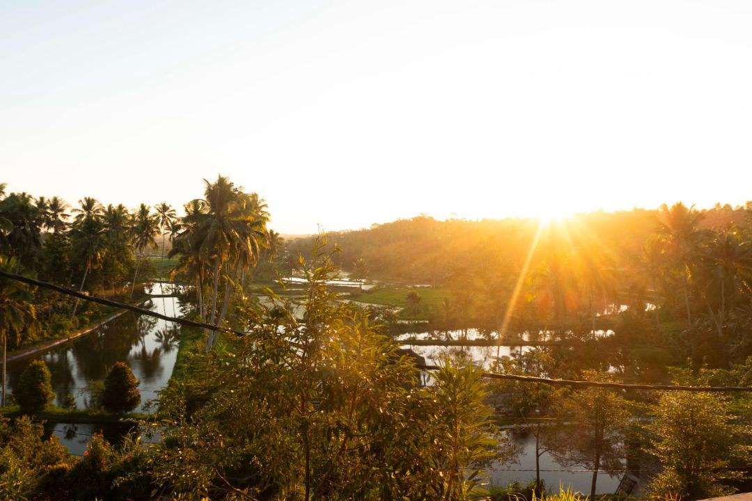 Photo of Others in Lombok