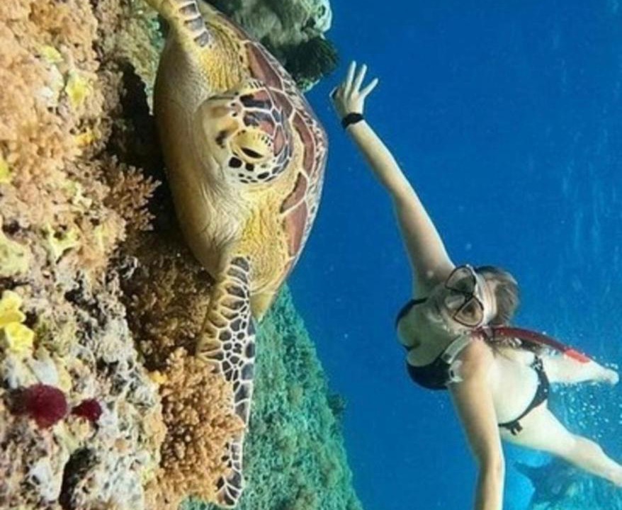 Photo of Others in Gili Air
