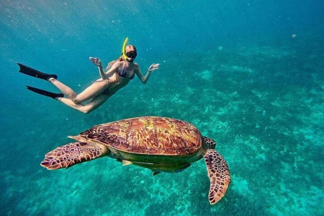 Photo of Others in Gili Air