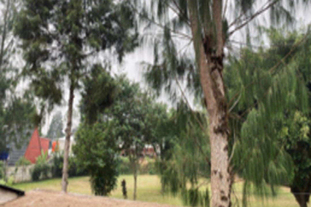 Photo of Others in Pangalengan