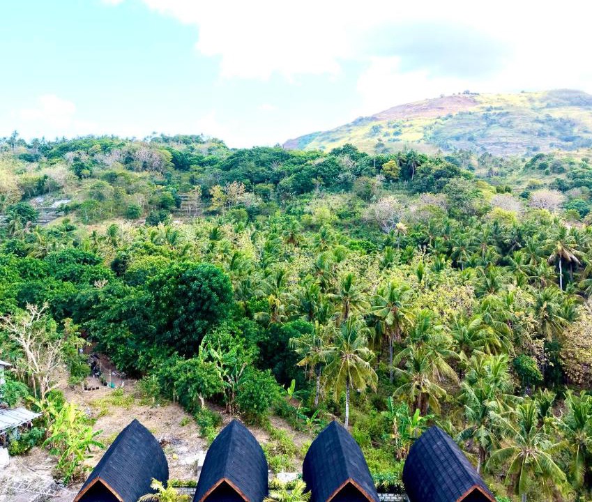 Photo of Others in Penida Island