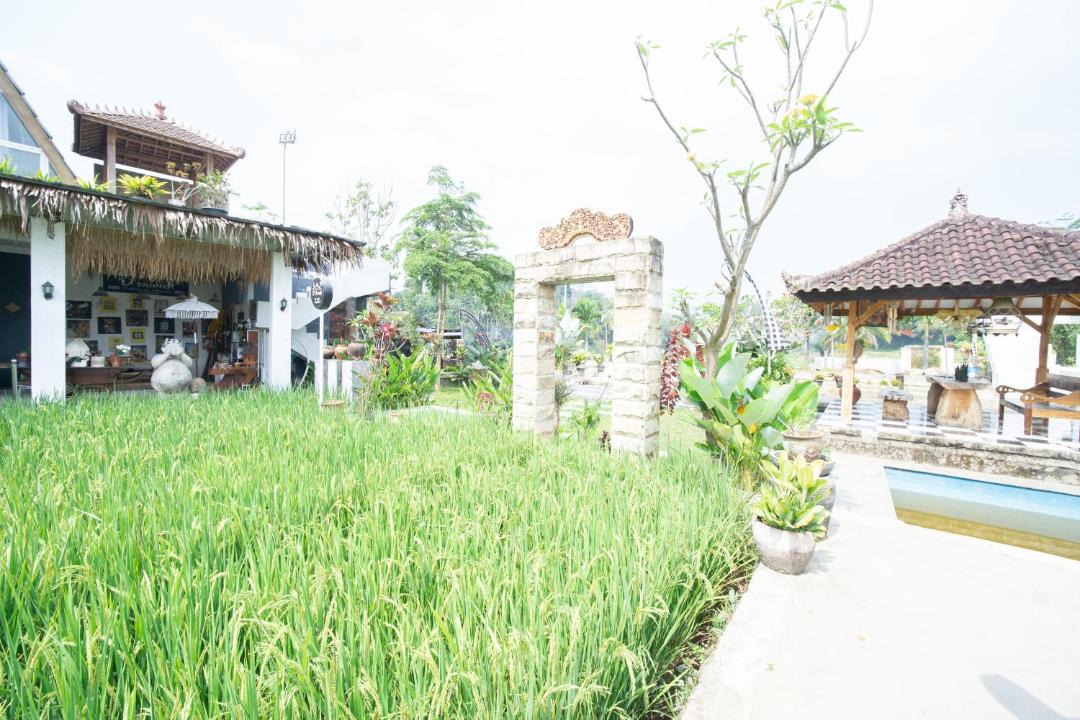 Photo of Others in Java