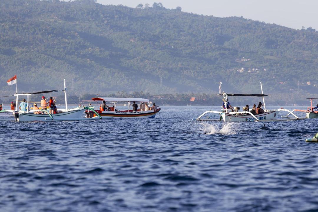 Photo of Others in Sawangan