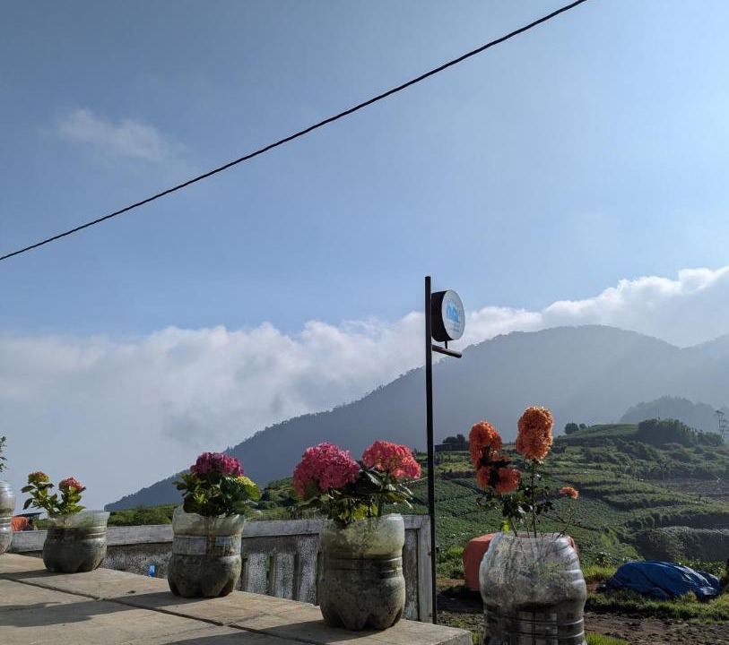 Photo of Others in Dieng
