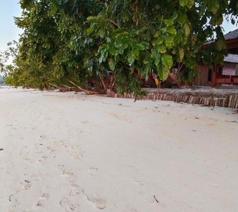 Photo of Others in Mansuar Island