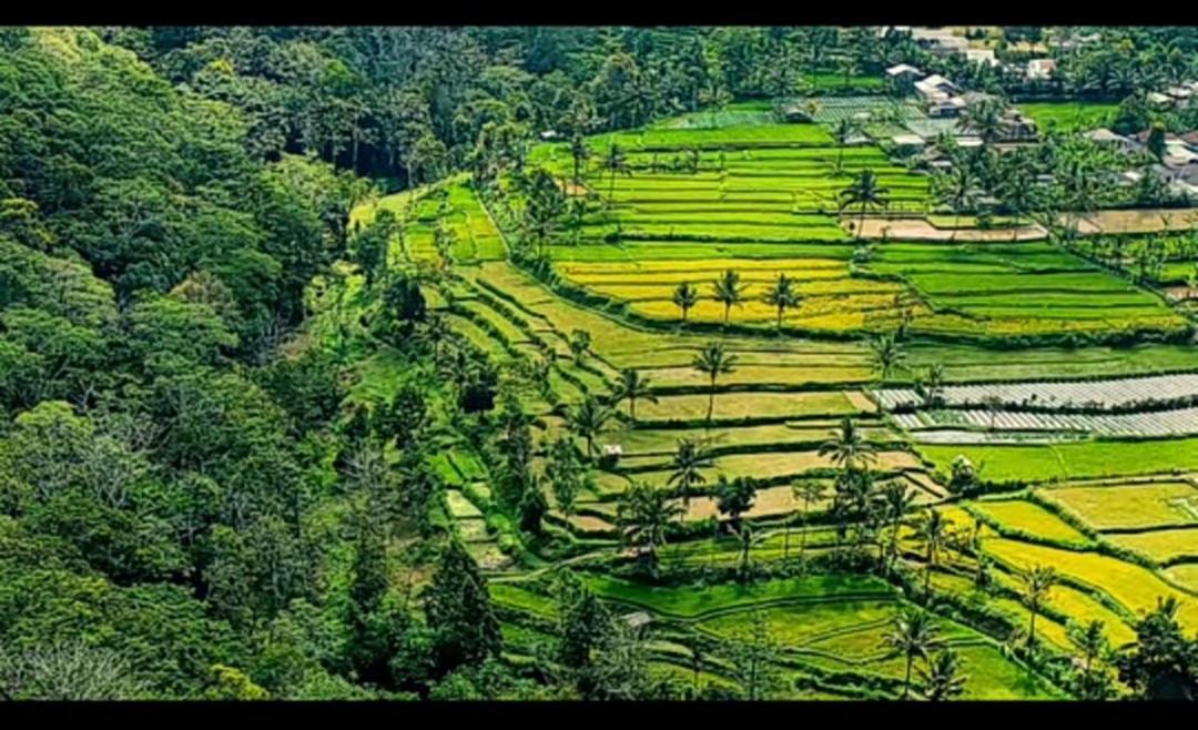 Photo of Others in Tetebatu