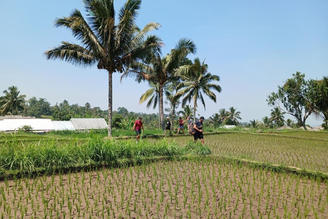 Photo of Others in Tetebatu