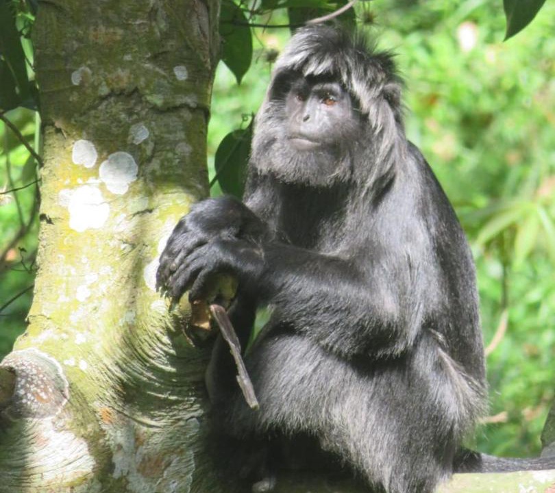 Photo of Others in Tetebatu