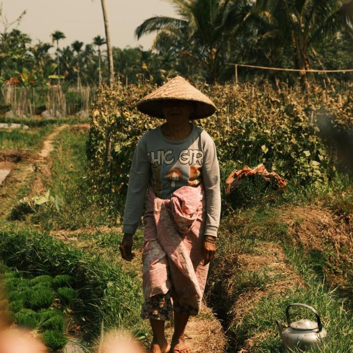 Photo of Others in Tetebatu