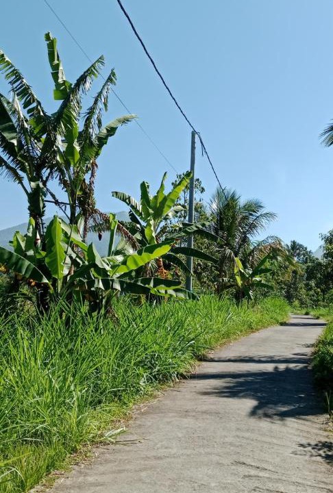 Photo of Outdoor in Lombok