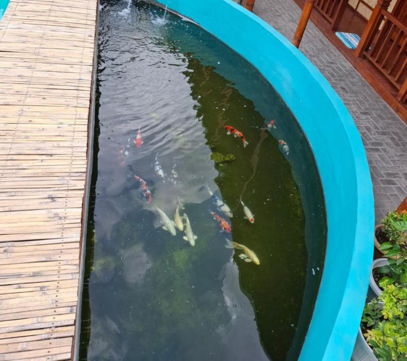 Photo of Others in Tetebatu