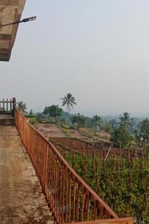 Photo of Others in Lombok