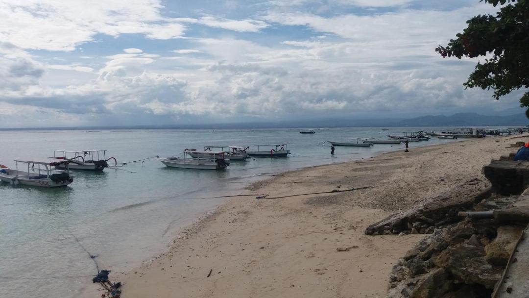 Photo of Others in Jungut Batu