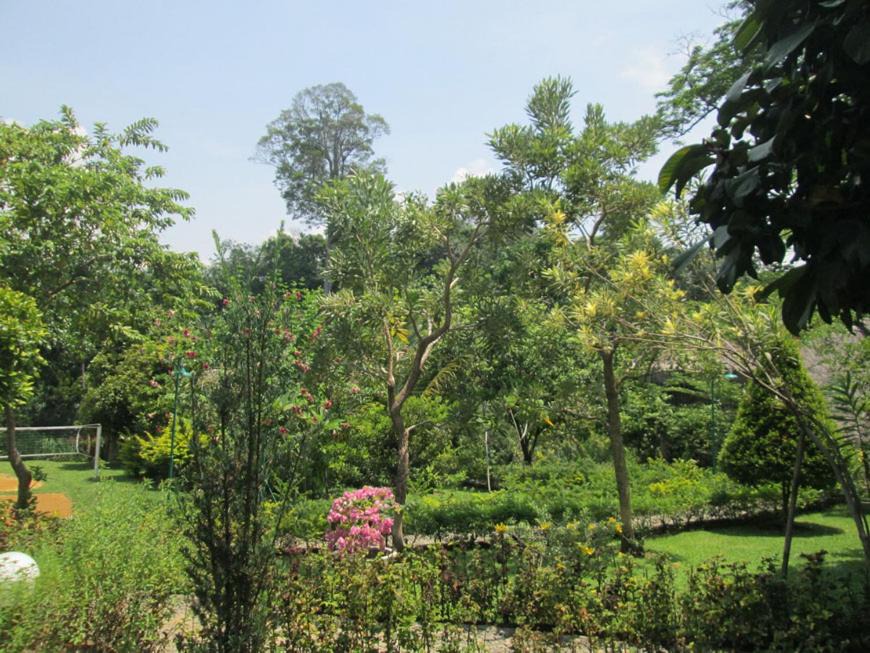 Photo of Others in Bukit Lawang