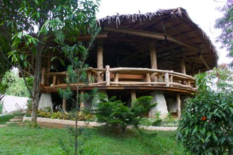 Photo of Others in Bukit Lawang