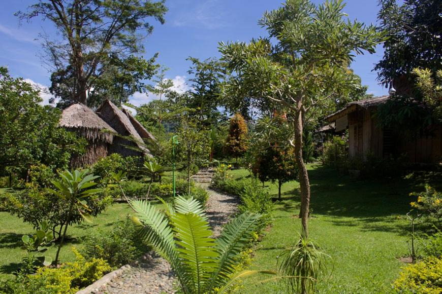 Photo of Others in Bukit Lawang