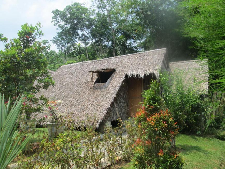 Photo of Others in Bukit Lawang