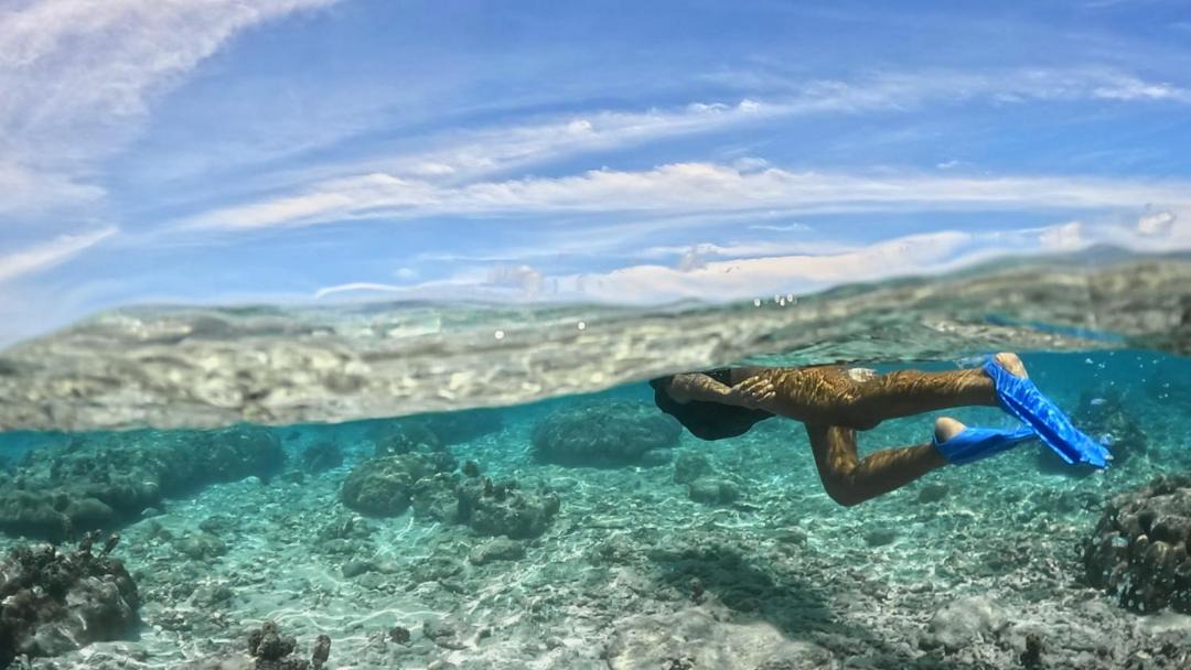 Photo of Others in Sipura Island