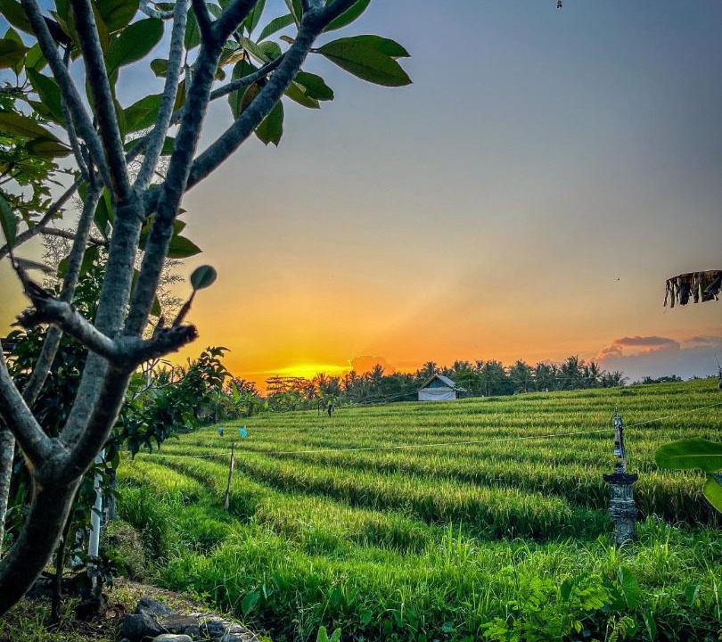 Photo of Others in Suraberata